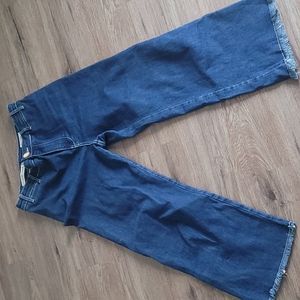 Pilcro wide leg crop jean size 28